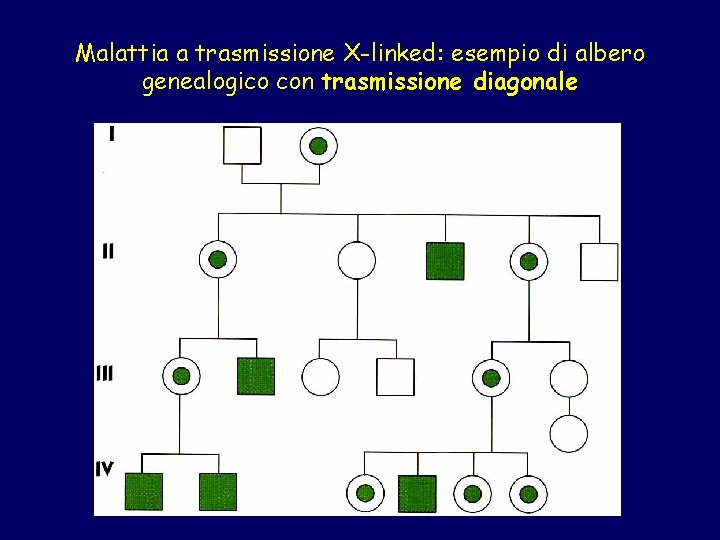 Malattia a trasmissione X-linked: esempio di albero genealogico con trasmissione diagonale 