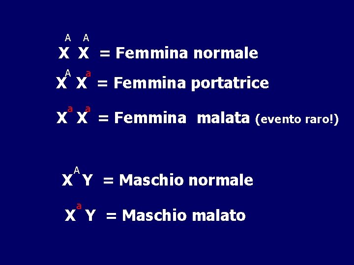 A A X X = Femmina normale A a X X = Femmina portatrice