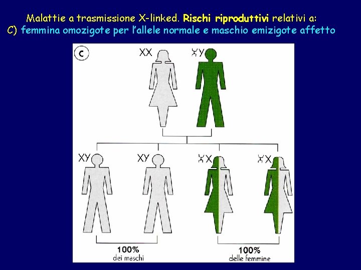 Malattie a trasmissione X-linked. Rischi riproduttivi relativi a: C) femmina omozigote per l’allele normale
