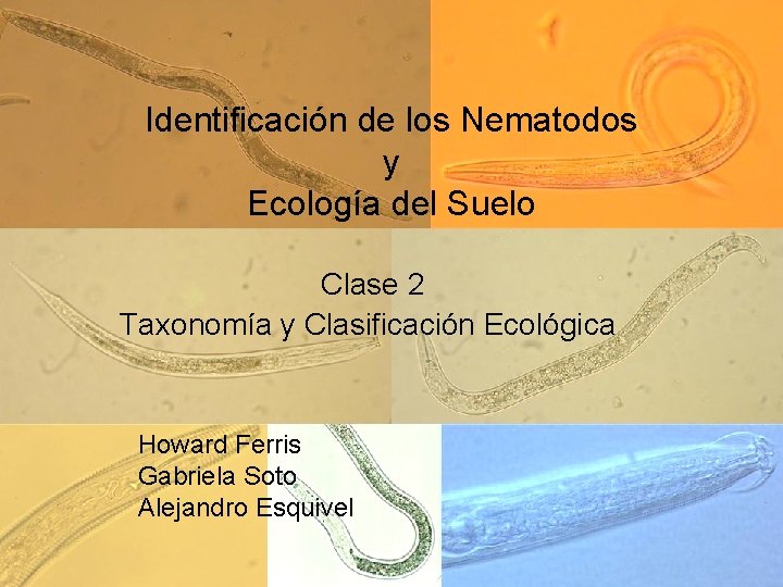 Identificación de los Nematodos y Ecología del Suelo Clase 2 Taxonomía y Clasificación Ecológica