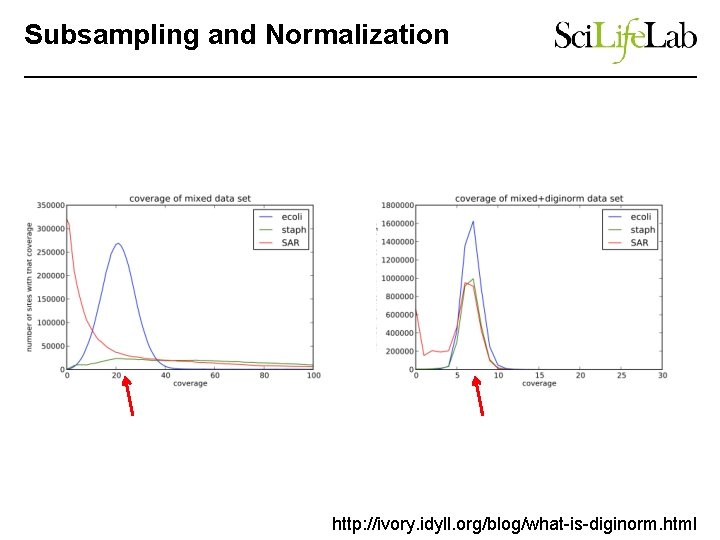 Subsampling and Normalization http: //ivory. idyll. org/blog/what-is-diginorm. html 
