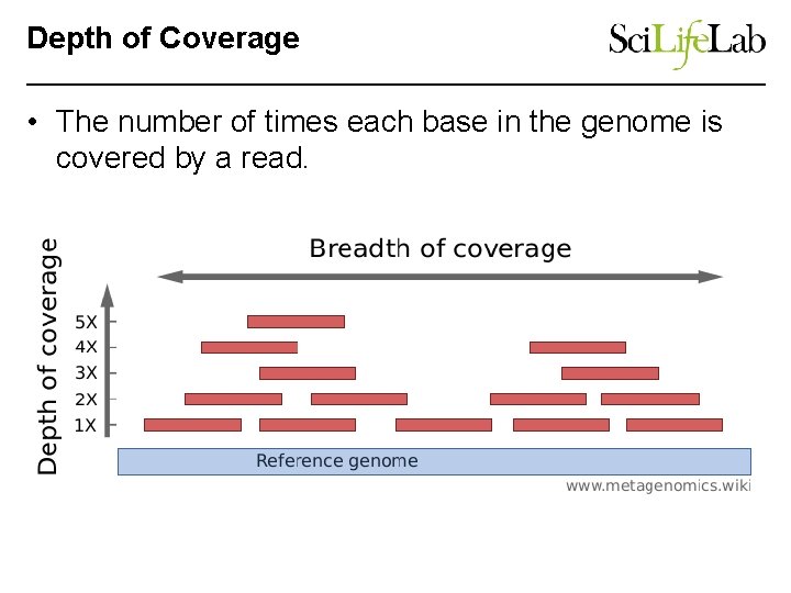 Depth of Coverage • The number of times each base in the genome is