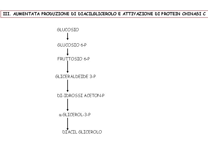 III. AUMENTATA PRODUZIONE DI DIACILGLICEROLO E ATTIVAZIONE DI PROTEIN CHINASI C GLUCOSIO 6 -P