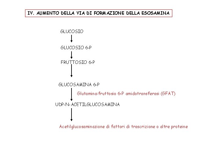 IV. AUMENTO DELLA VIA DI FORMAZIONE DELLA ESOSAMINA GLUCOSIO 6 -P FRUTTOSIO 6 -P