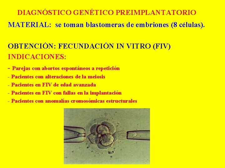 DIAGNÓSTICO GENÉTICO PREIMPLANTATORIO MATERIAL: se toman blastomeras de embriones (8 células). OBTENCIÓN: FECUNDACIÓN IN