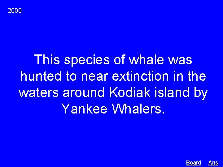 2000 This species of whale was hunted to near extinction in the waters around