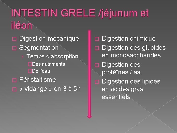 INTESTIN GRELE /jéjunum et iléon Digestion mécanique � Segmentation � › Temps d’absorption �Des