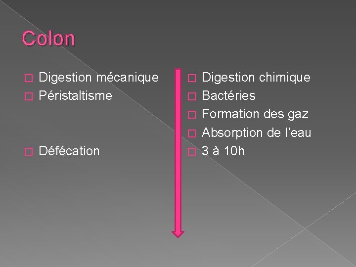 Colon Digestion mécanique � Péristaltisme � � � Défécation � Digestion chimique Bactéries Formation