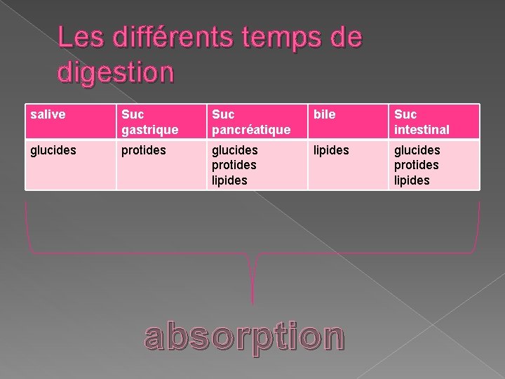 Les différents temps de digestion salive Suc gastrique Suc pancréatique bile Suc intestinal glucides