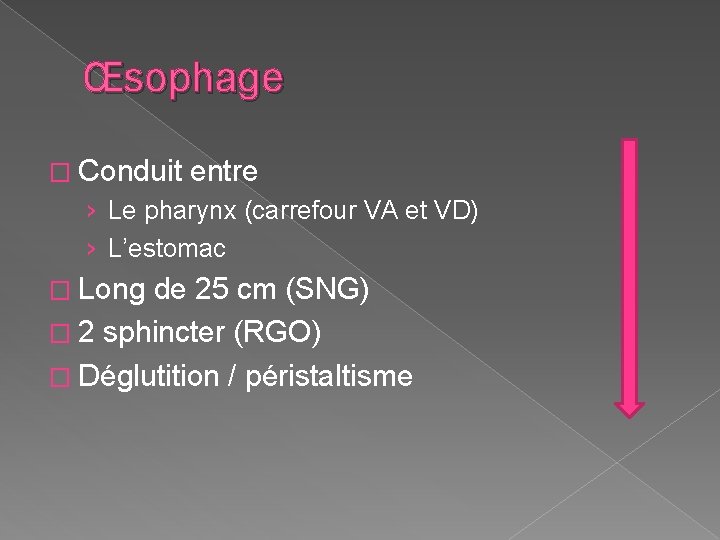 Œsophage � Conduit entre › Le pharynx (carrefour VA et VD) › L’estomac �