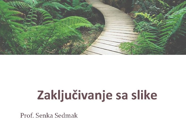 Zaključivanje sa slike Prof. Senka Sedmak 