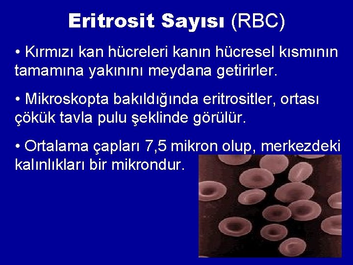 Eritrosit Sayısı (RBC) • Kırmızı kan hücreleri kanın hücresel kısmının tamamına yakınını meydana getirirler. Eritrosit Sayısı (RBC) • Kırmızı kan hücreleri kanın hücresel kısmının tamamına yakınını meydana getirirler.