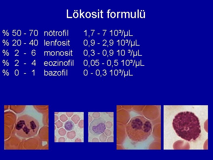 Lökosit formulü % % % 50 20 2 2 0 - 70 40 6 Lökosit formulü % % % 50 20 2 2 0 - 70 40 6