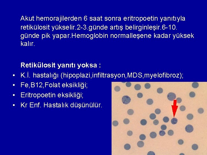 Akut hemorajilerden 6 saat sonra eritropoetin yanıtıyla retikülosit yükselir. 2 -3. günde artış belirginleşir. Akut hemorajilerden 6 saat sonra eritropoetin yanıtıyla retikülosit yükselir. 2 -3. günde artış belirginleşir.