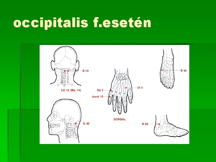occipitalis f. esetén 