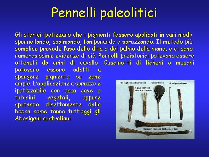 Pennelli paleolitici Gli storici ipotizzano che i pigmenti fossero applicati in vari modi: spennellando,