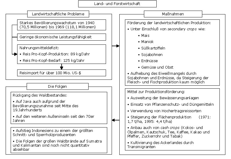 Land- und Forstwirtschaft Landwirtschaftliche Probleme Starkes Bevölkerungswachstum von 1940 (70, 5 Millionen) bis 1969