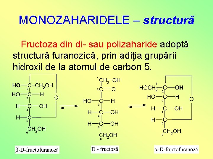 MONOZAHARIDELE – structură Fructoza din di- sau polizaharide adoptă structură furanozică, prin adiţia grupării MONOZAHARIDELE – structură Fructoza din di- sau polizaharide adoptă structură furanozică, prin adiţia grupării