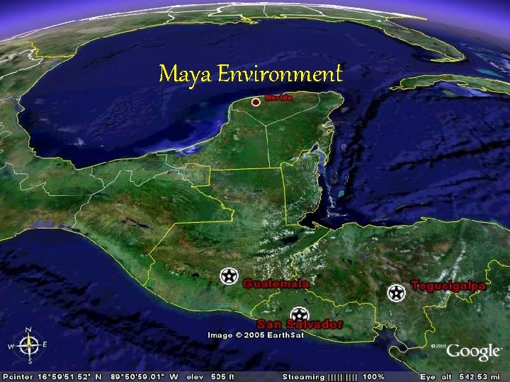 Maya Environment 