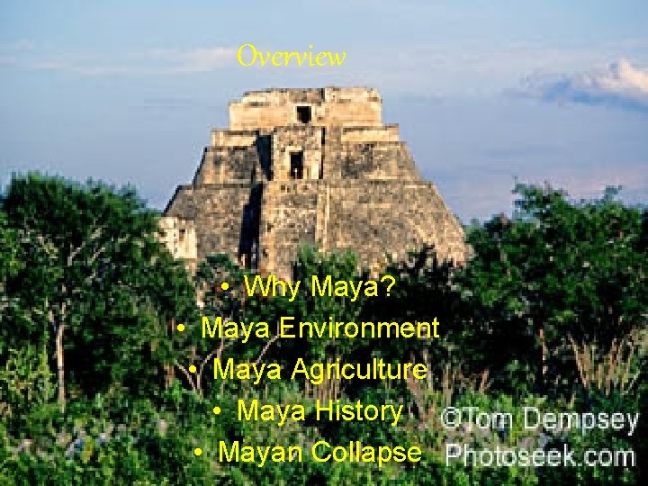 Overview • Why Maya? • Maya Environment • Maya Agriculture • Maya History •