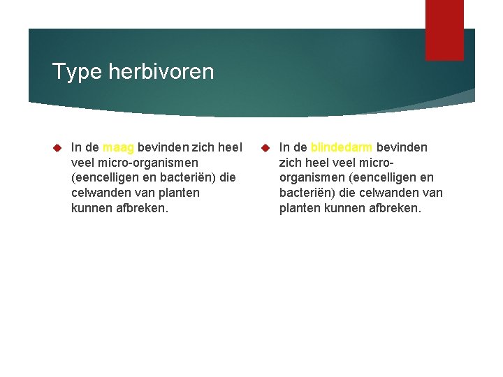 Type herbivoren In de maag bevinden zich heel veel micro-organismen (eencelligen en bacteriën) die