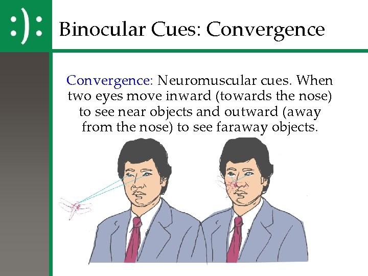 Binocular Cues: Convergence: Neuromuscular cues. When two eyes move inward (towards the nose) to
