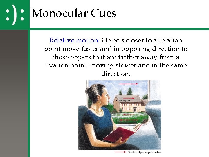 Monocular Cues Relative motion: Objects closer to a fixation point move faster and in