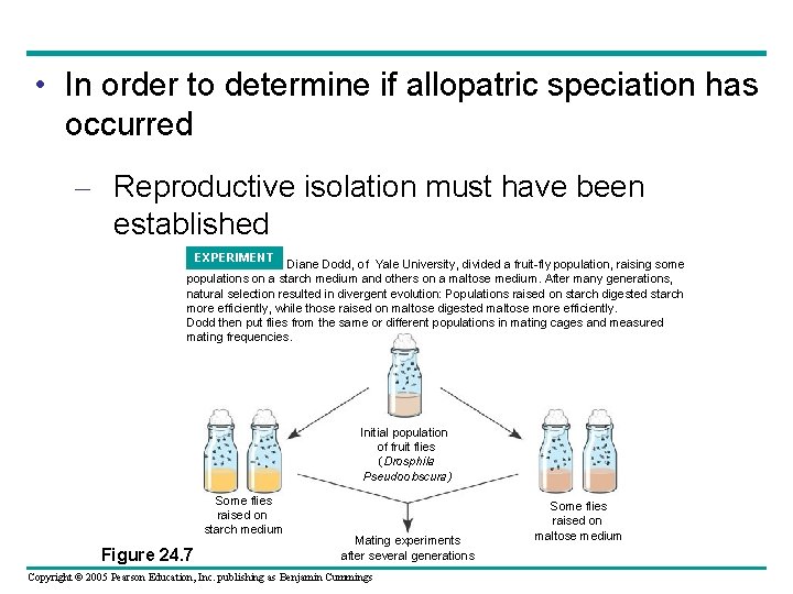  • In order to determine if allopatric speciation has occurred – Reproductive isolation