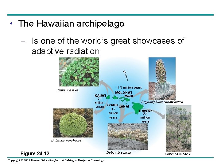  • The Hawaiian archipelago – Is one of the world’s great showcases of