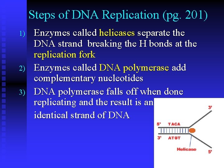 Steps of DNA Replication (pg. 201) 1) 2) 3) Enzymes called helicases separate the Steps of DNA Replication (pg. 201) 1) 2) 3) Enzymes called helicases separate the