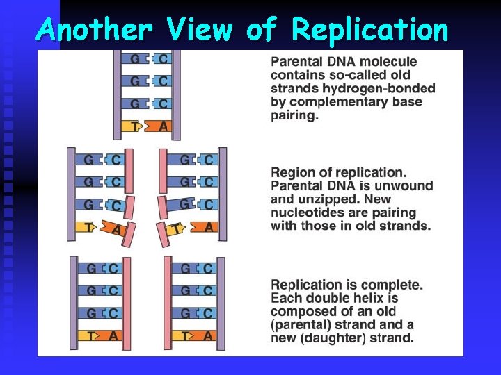 Another View of Replication Another View of Replication