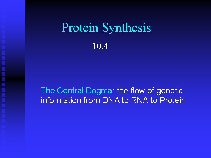 Protein Synthesis 10. 4 The Central Dogma: the flow of genetic information from DNA Protein Synthesis 10. 4 The Central Dogma: the flow of genetic information from DNA