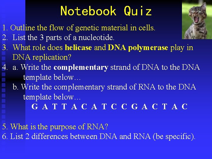 Notebook Quiz 1. Outline the flow of genetic material in cells. 2. List the Notebook Quiz 1. Outline the flow of genetic material in cells. 2. List the