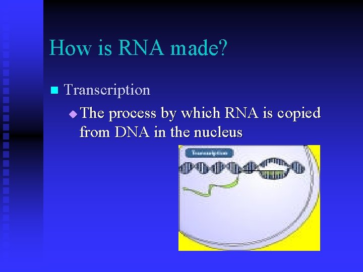 How is RNA made? n Transcription u The process by which RNA is copied How is RNA made? n Transcription u The process by which RNA is copied