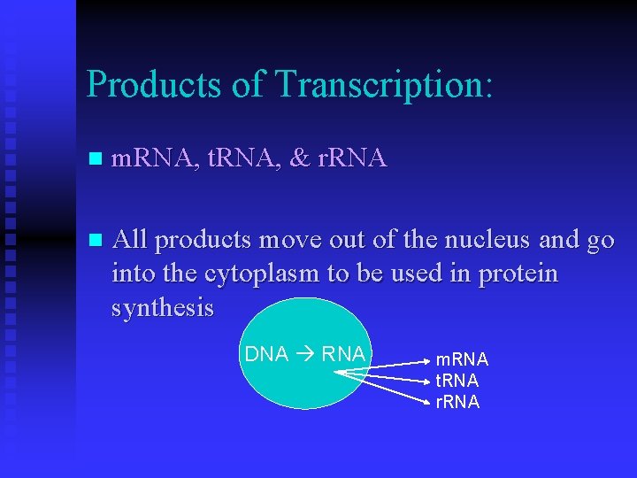 Products of Transcription: n m. RNA, t. RNA, & r. RNA n All products Products of Transcription: n m. RNA, t. RNA, & r. RNA n All products