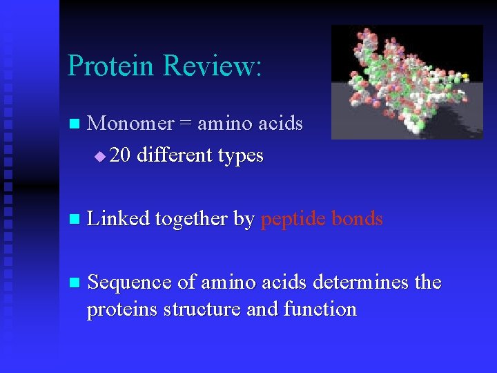 Protein Review: n Monomer = amino acids u 20 different types n Linked together Protein Review: n Monomer = amino acids u 20 different types n Linked together