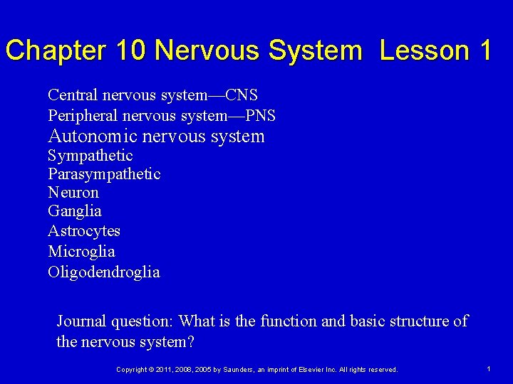 Chapter 10 Nervous System Lesson 1 Central nervous system—CNS Peripheral nervous system—PNS Autonomic nervous