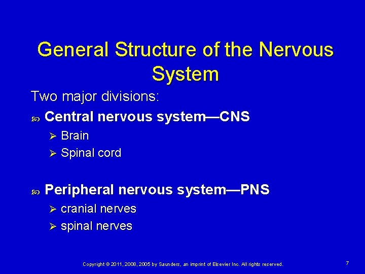 General Structure of the Nervous System Two major divisions: Central nervous system—CNS Brain Ø