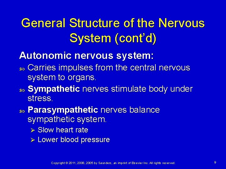 General Structure of the Nervous System (cont’d) Autonomic nervous system: Carries impulses from the