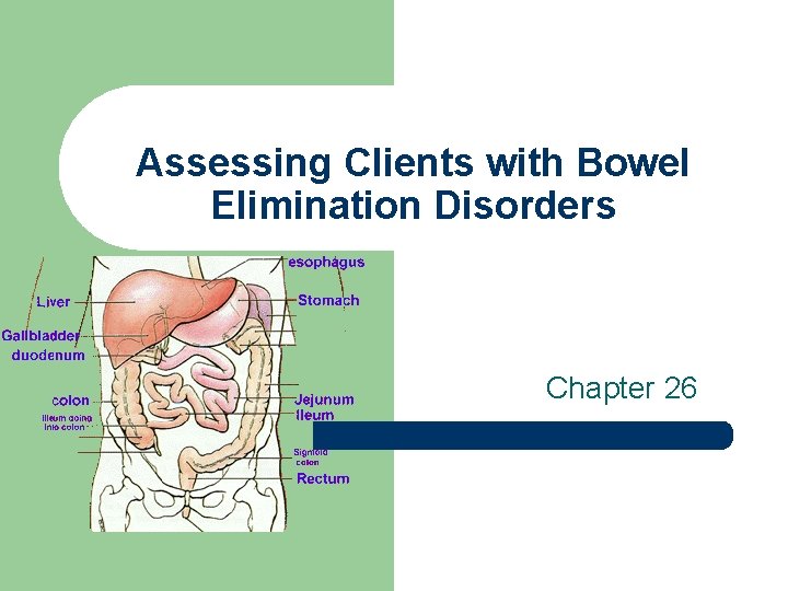 Assessing Clients with Bowel Elimination Disorders Chapter 26 