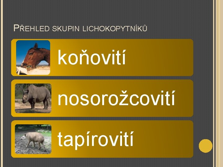 PŘEHLED SKUPIN LICHOKOPYTNÍKŮ koňovití nosorožcovití tapírovití 