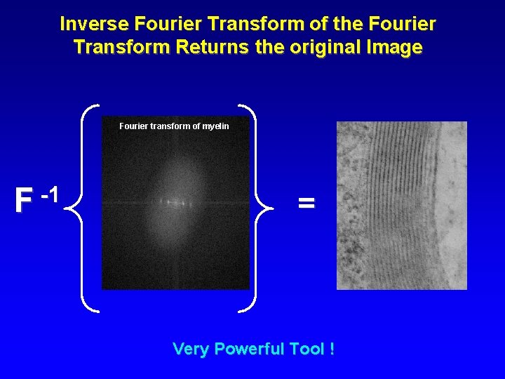 Inverse Fourier Transform of the Fourier Transform Returns the original Image Fourier transform of