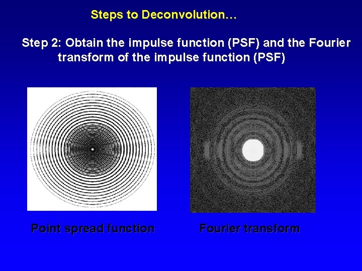 Steps to Deconvolution… Step 2: Obtain the impulse function (PSF) and the Fourier transform