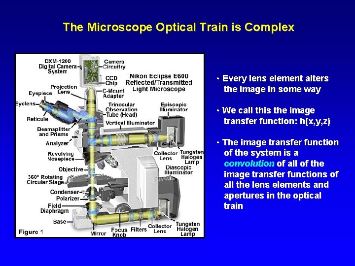 The Microscope Optical Train is Complex • Every lens element alters the image in