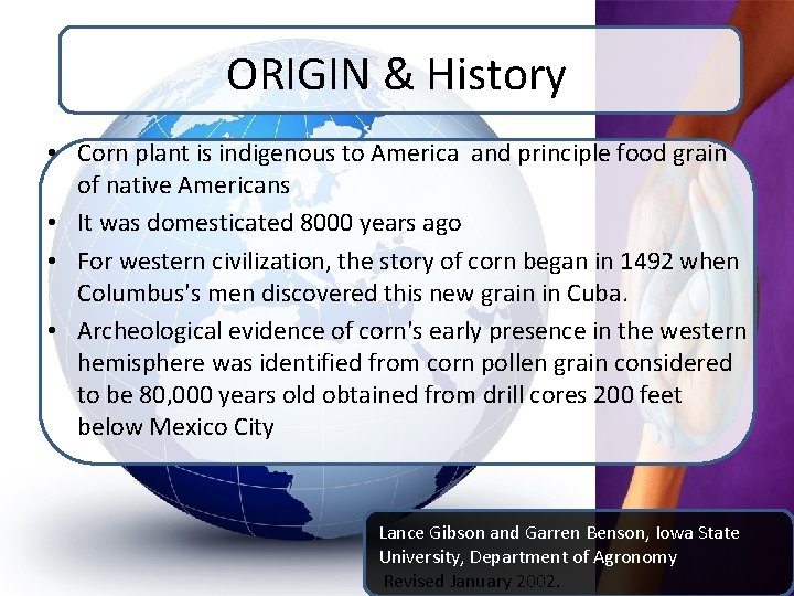 ORIGIN & History • Corn plant is indigenous to America and principle food grain ORIGIN & History • Corn plant is indigenous to America and principle food grain