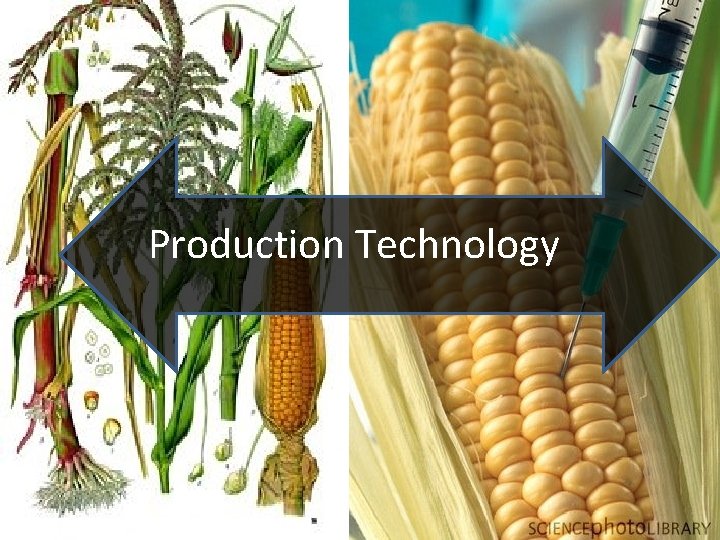 Production Technology Production Technology