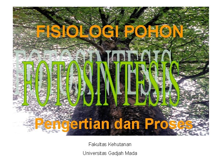 FISIOLOGI POHON Pengertian dan Proses Fakultas Kehutanan Universitas Gadjah Mada 