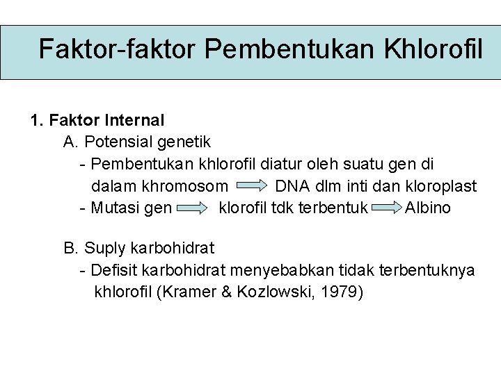 Faktor-faktor Pembentukan Khlorofil 1. Faktor Internal A. Potensial genetik - Pembentukan khlorofil diatur oleh