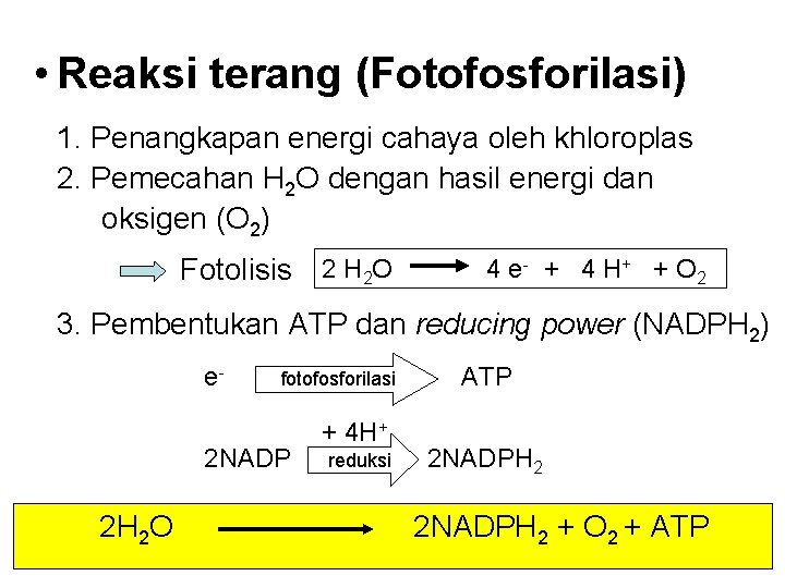  • Reaksi terang (Fotofosforilasi) 1. Penangkapan energi cahaya oleh khloroplas 2. Pemecahan H