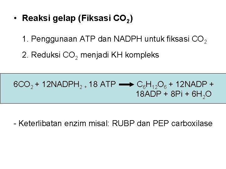  • Reaksi gelap (Fiksasi CO 2) 1. Penggunaan ATP dan NADPH untuk fiksasi